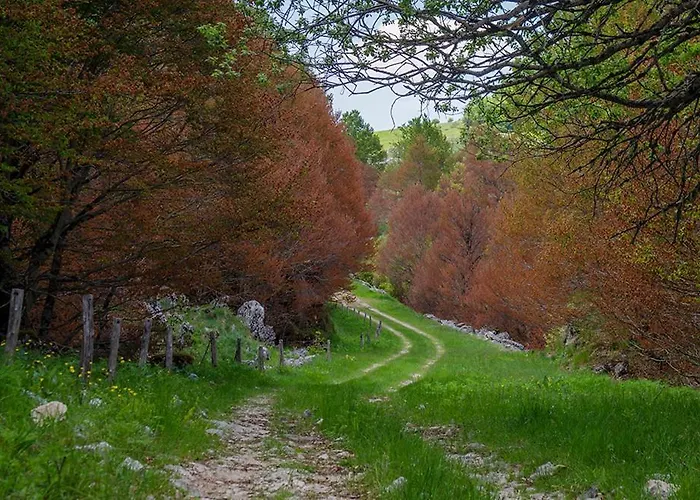 Bed & Breakfast Il Risveglio Del Cavaliere 4*